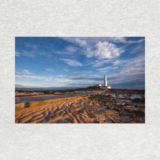 October sunshine at St Mary's Island by Violaman